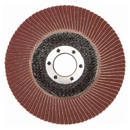 Flap Discs